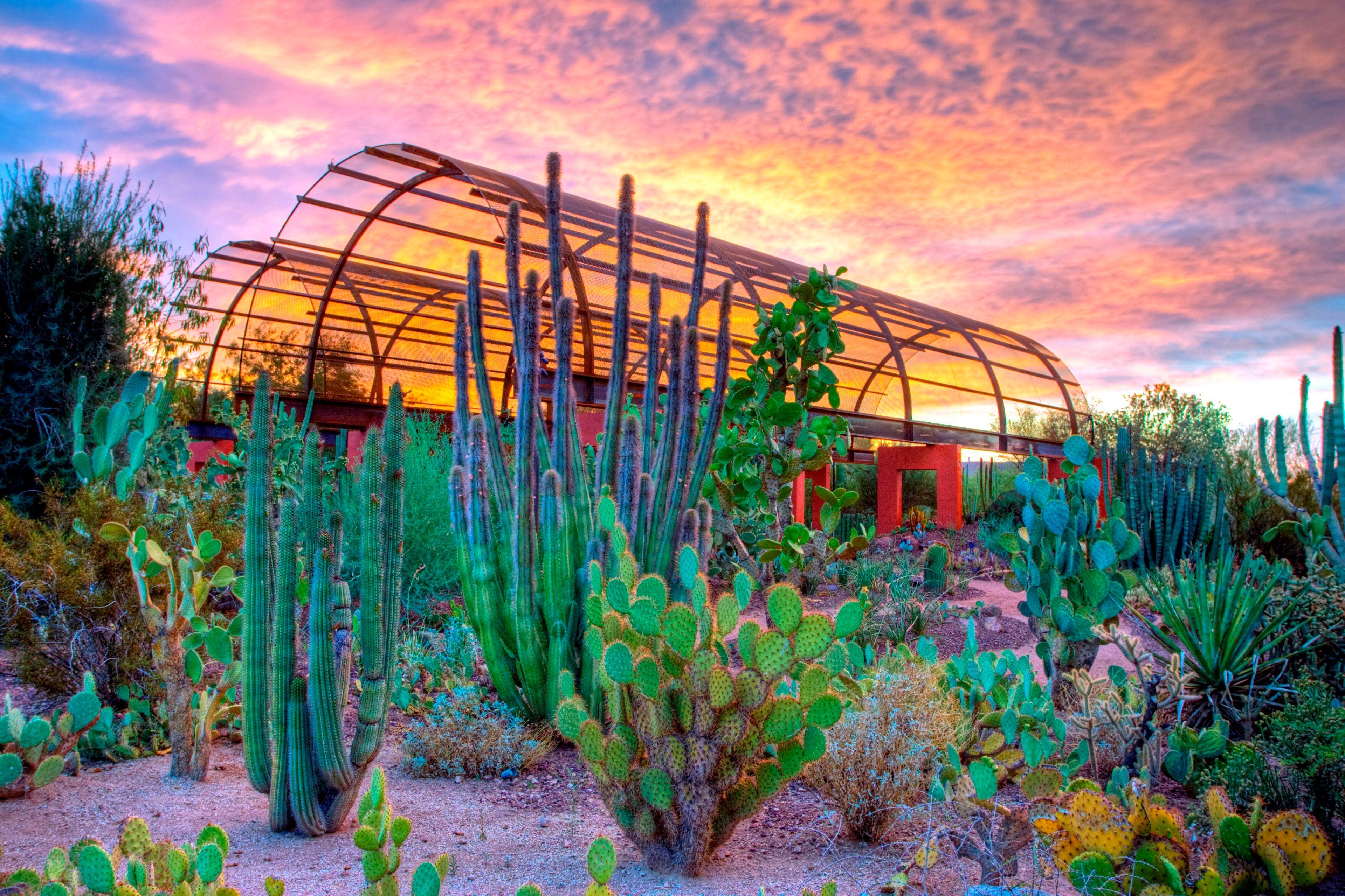 Holiday Inn Express & Suites - Phoenix - Airport North By Ihg Zewnętrze zdjęcie